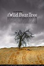 Watch The Wild Pear Tree 9Movies