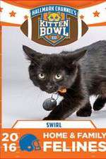 Watch Kitten Bowl III 9Movies