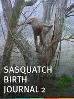 Watch Sasquatch Birth Journal 2 9Movies