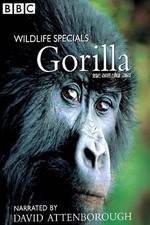 Watch Gorilla Revisited with David Attenborough 9Movies