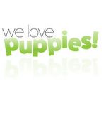 Watch We Love Puppies 9Movies