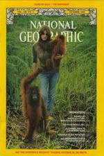 Watch Search for the Great Apes 9Movies