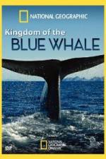Watch National Geographic Kingdom of Blue Whale 9Movies