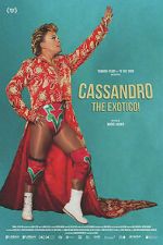 Watch Cassandro, The Exotico! 9Movies