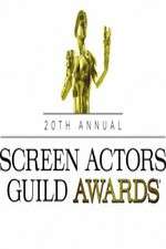 Watch The 20th Annual Screen Actors Guild Awards 9Movies