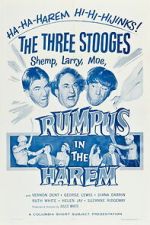 Watch Rumpus in the Harem 9Movies