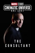 Watch Marvel One-Shot: The Consultant 9Movies