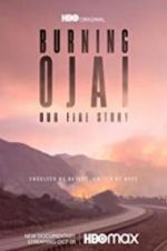 Watch Burning Ojai: Our Fire Story 9Movies