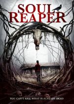 Watch Soul Reaper 9Movies