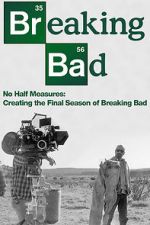 Watch No Half Measures: Creating the Final Season of Breaking Bad 9Movies