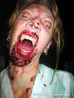 Watch Dracula\'s Sorority Sisters 9Movies