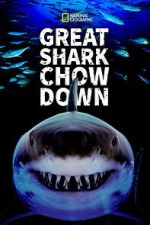Watch Great Shark Chow Down 9Movies
