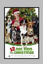 Watch 12 Dog Days Till Christmas 9Movies