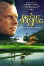 Watch A Bright Shining Lie 9Movies