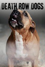 Watch Death Row Dogs 9Movies