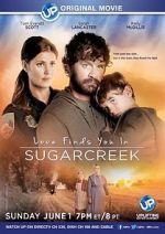 Watch Love Finds You in Sugarcreek 9Movies