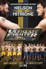 Watch The Ultimate Fighter 16 Finale Nelson vs Mitrione 9Movies