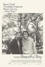 Watch Beautiful Boy 9Movies