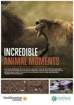 Watch Incredible Animal Moments 9Movies