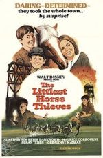 Watch The Littlest Horse Thieves 9Movies