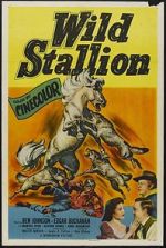 Watch Wild Stallion 9Movies