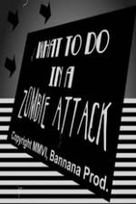 Watch What to Do in a Zombie Attack 9Movies