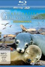 Watch Faszination Galapagos 9Movies