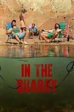 Watch In the Quarry 9Movies
