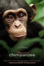 Watch Chimpanzee 9Movies
