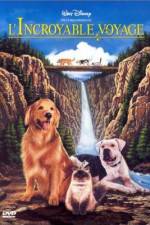 Watch Homeward Bound: The Incredible Journey 9Movies