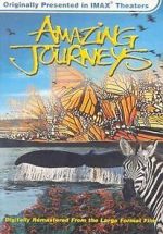 Watch Amazing Journeys (Short 1999) 9Movies