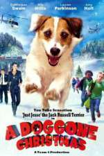 Watch A Doggone Christmas 9Movies