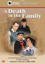 Watch A Death in the Family 9Movies