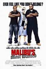 Watch Malibu's Most Wanted 9Movies