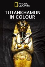 Watch King Tut in Color 9Movies