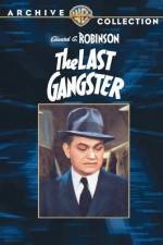 Watch The Last Gangster 9Movies