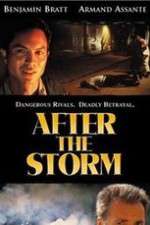 Watch After the Storm 9Movies