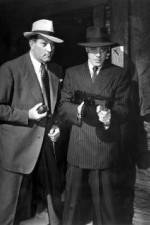 Watch No Orchids for Miss Blandish 9Movies