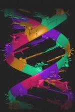 Watch Life to Eve 9Movies