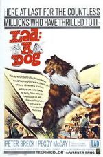 Watch Lad: A Dog 9Movies