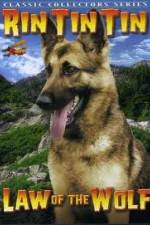 Watch Law of the Wolf 9Movies