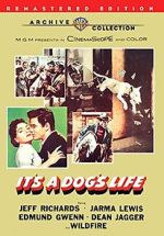 Watch It\'s a Dog\'s Life 9Movies