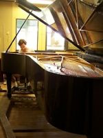 Watch Note by Note: The Making of Steinway L1037 9Movies