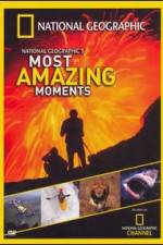 Watch National Geographics Most Amazing Moments 9Movies