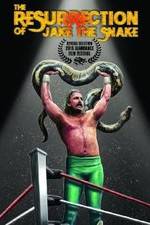 Watch The Resurrection of Jake The Snake Roberts 9Movies