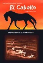 Watch El Caballo: The Wild Horses of North America 9Movies