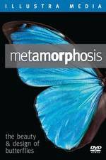 Watch Metamorphosis: The Beauty and Design of Butterflies 9Movies