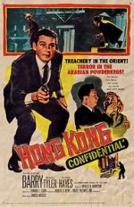Watch Hong Kong Confidential 9Movies