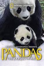 Watch Pandas: The Journey Home 9Movies