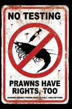 Watch Wikus and Charlize 9Movies